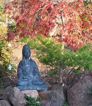 kwan yin