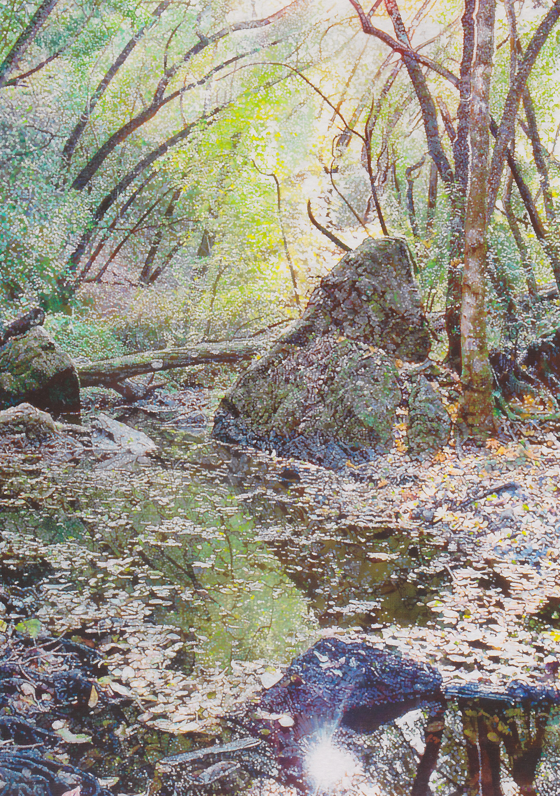 Phoenix-Will-Noble-ptg