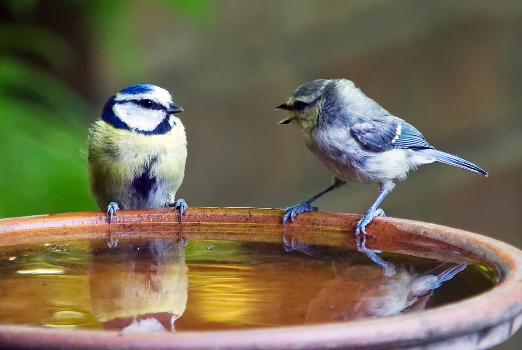 Learning to listen can change the&nbsp;world