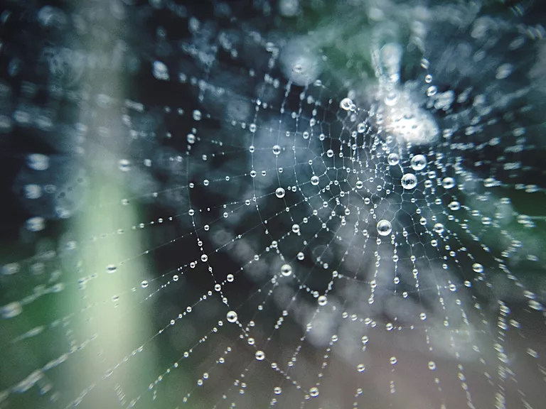 Aha! Ha, ha,&nbsp;ha!