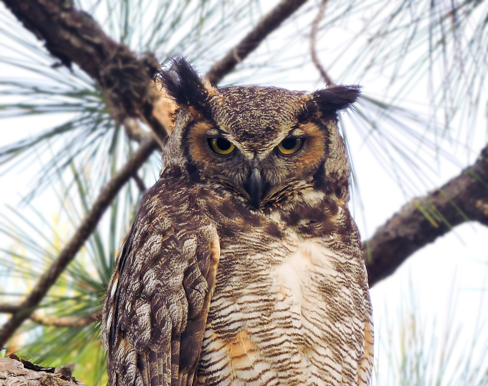 Unveiling :: Don’t turn&nbsp;away