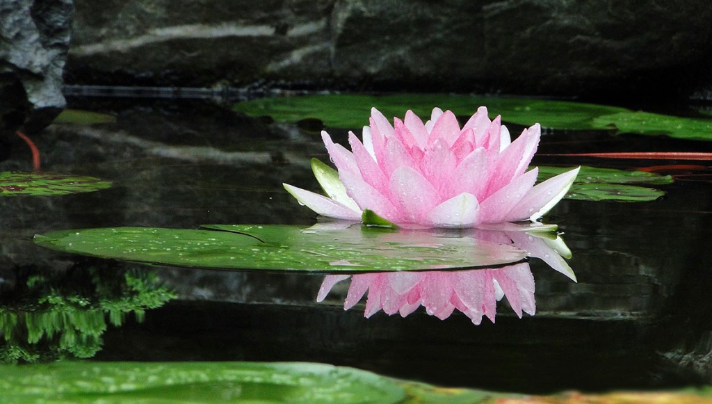 Finding your answer: a meditative&nbsp;exercise