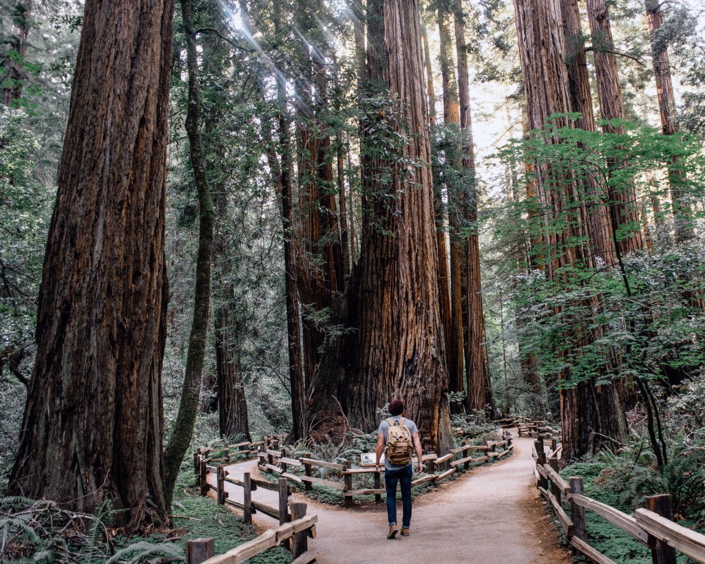 Finding Our Way Amidst&nbsp;Uncertainty